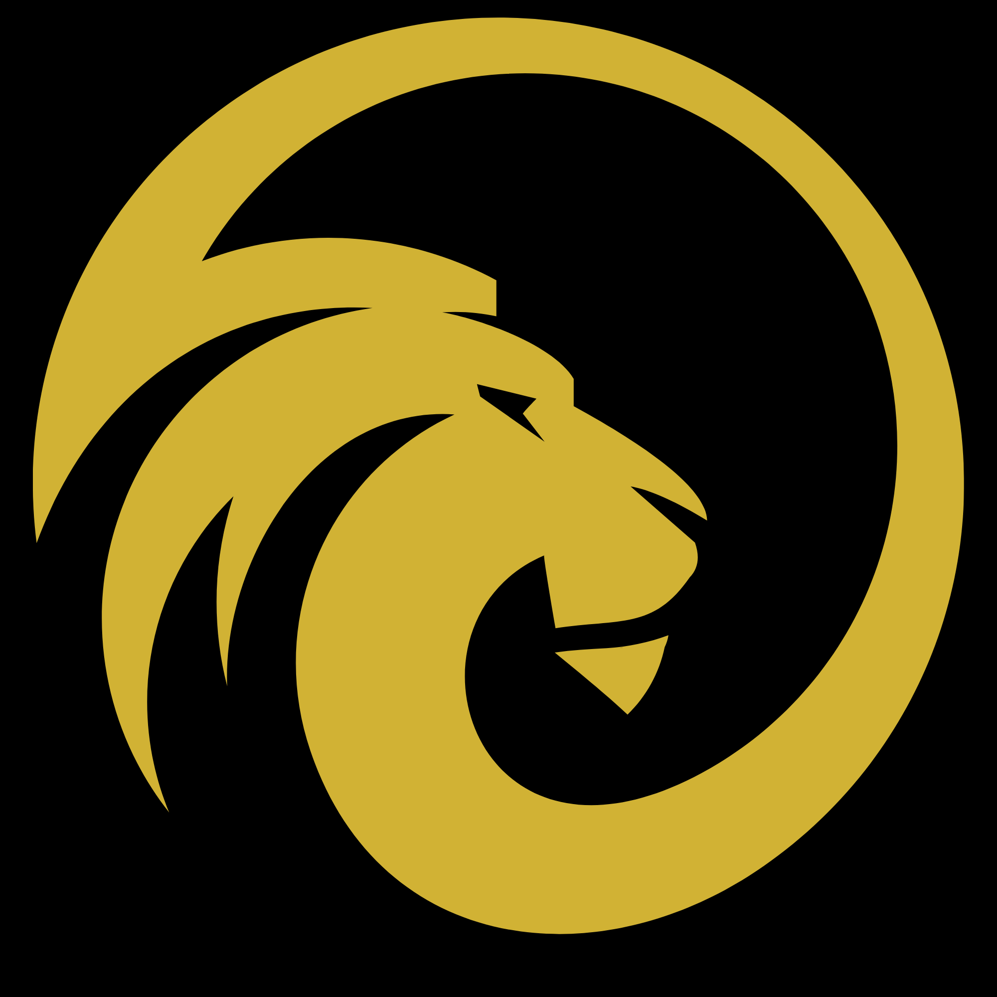 Lionspro Tax LLC